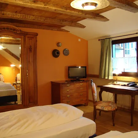 Hotel-restaurant Loewen Hotel *